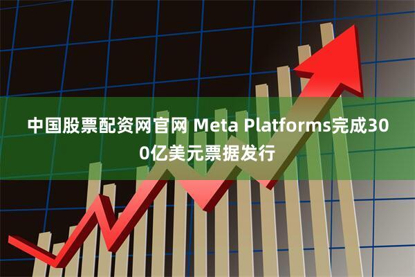 中国股票配资网官网 Meta Platforms完成300亿美元票据发行