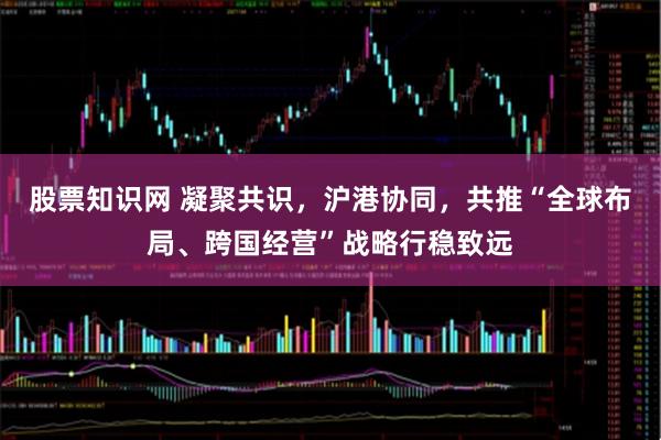 股票知识网 凝聚共识，沪港协同，共推“全球布局、跨国经营”战略行稳致远
