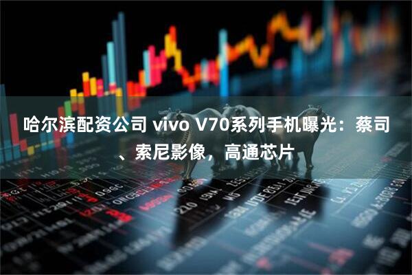 哈尔滨配资公司 vivo V70系列手机曝光：蔡司、索尼影像，高通芯片
